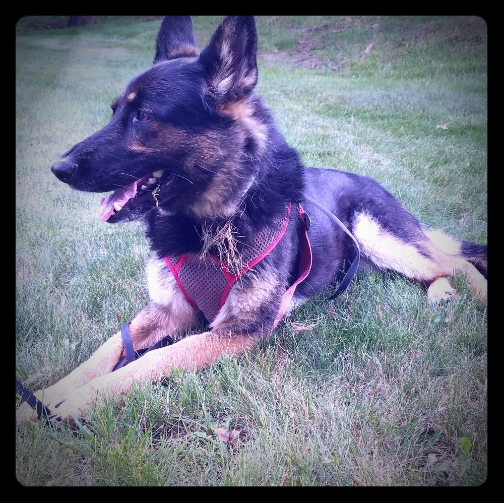 Meet your Posher, Mat